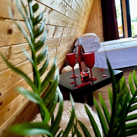 A-Frame Bucovina- Paradis Bucovinean Capu Cimpului Екстер'єр фото