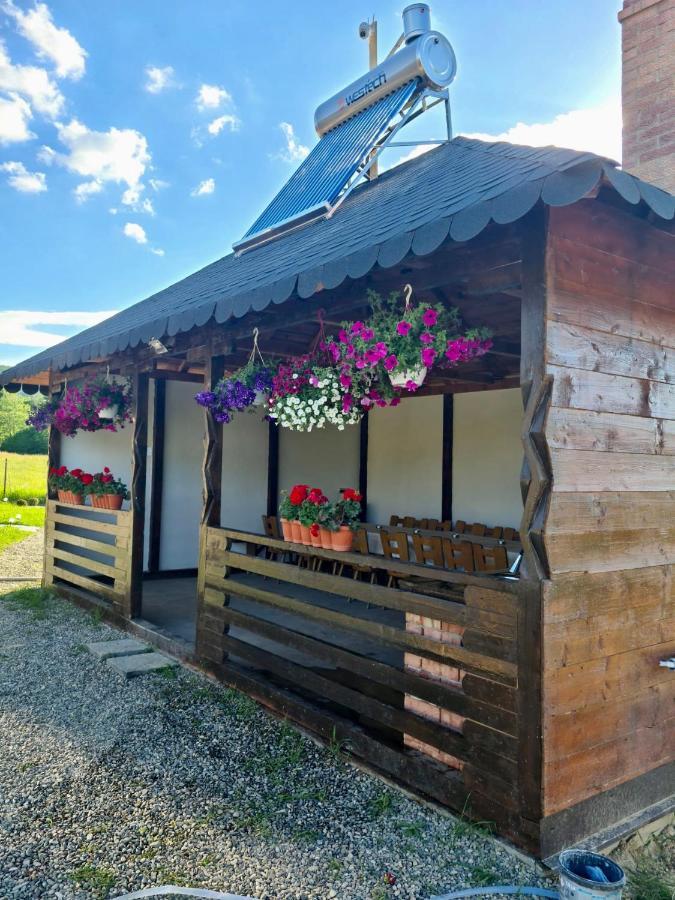 A-Frame Bucovina- Paradis Bucovinean Capu Cimpului Екстер'єр фото