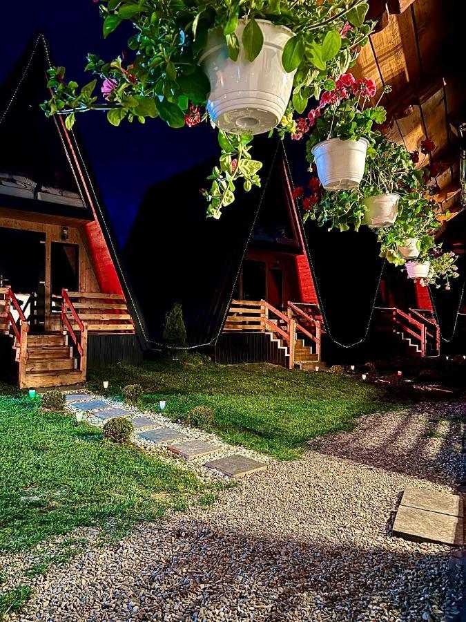 A-Frame Bucovina- Paradis Bucovinean Capu Cimpului Екстер'єр фото